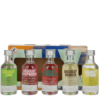Absolut Vodka Flavored Five Miniature Set