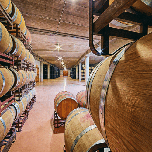 Diamante Blanco Semi Dulce 2024 - hvidvin - Billede 5