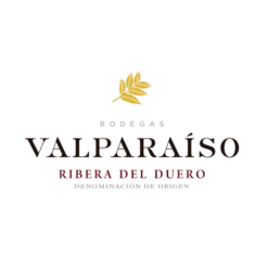 Alternative view of Raíces de Valparaíso Ribero del Duero DO 2022