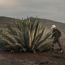 Alternative view of Clase Azul Mezcal DURANGO Black Bottle Tequila